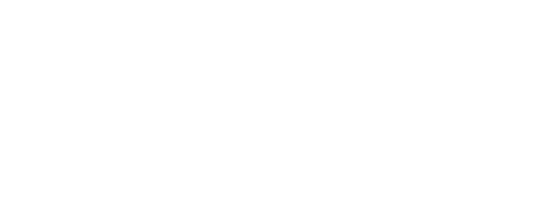 logo Chamussy